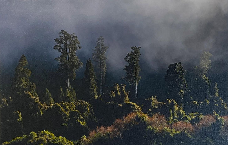 Photograph by Jules Anderson_edited.jpg
