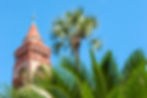 Flagler College