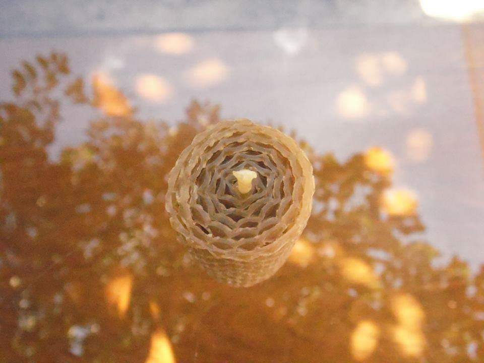 Miniatura: Velas Panal Artesanales de Miel de Cera de Abejas Pura