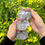Thumbnail: RESTOCKED TOTO the Grey Panda with Sakura Flower Hair Claw