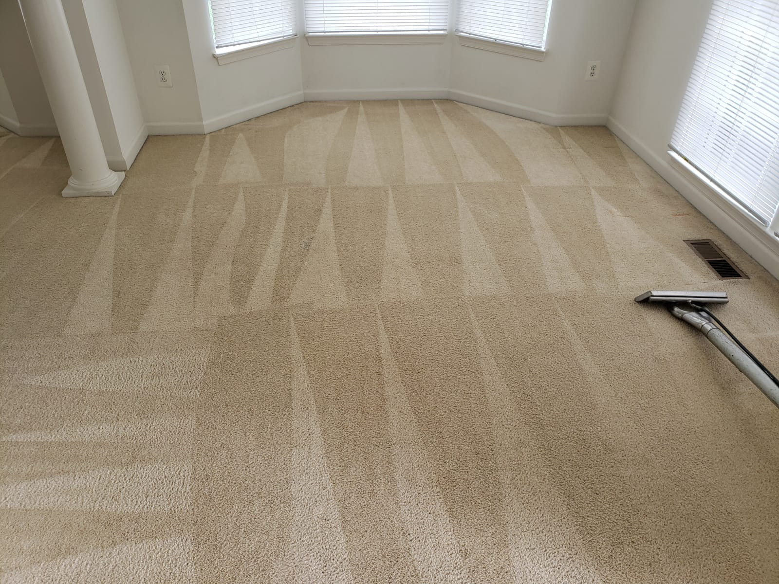 Carpet Cleaning Services Edibill Services