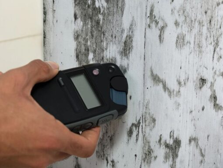 5 Signs You Need a Mold Inspection in Houston Today