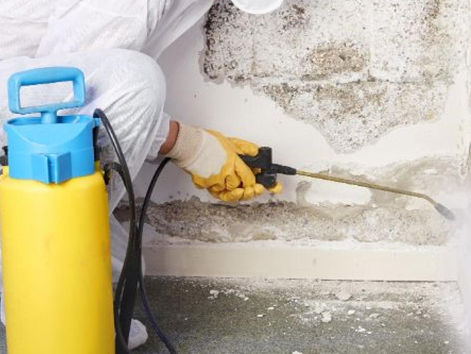 Learning About Mold Remediation and Clean - Up in Houston 