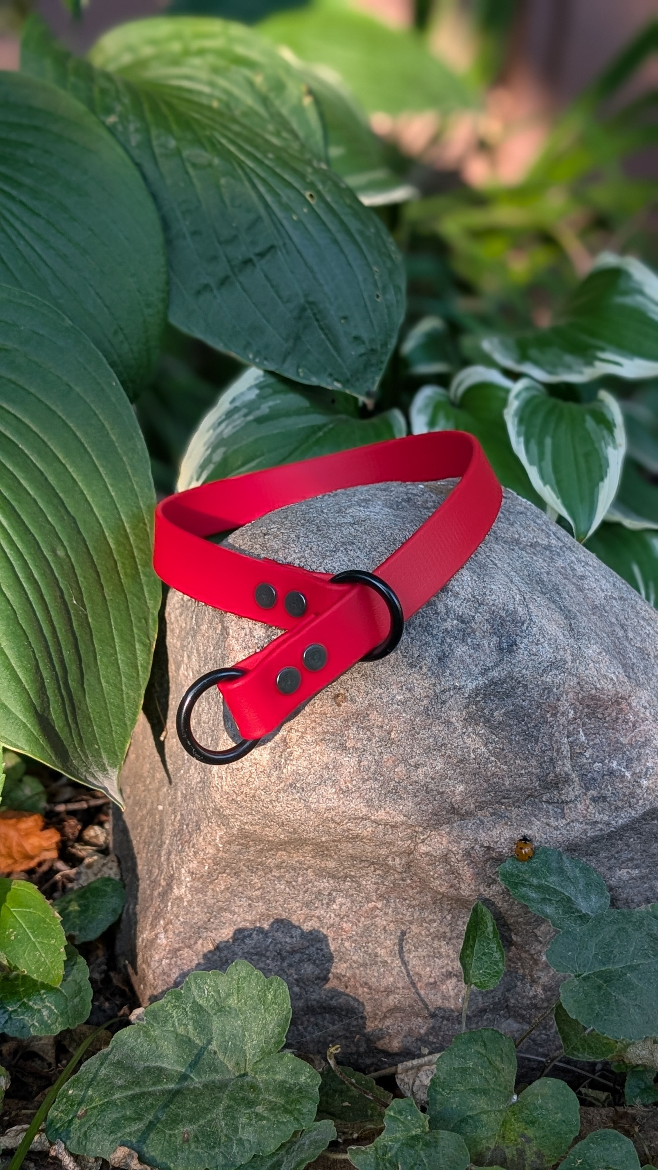 CLEARANCE 3/4" Slip Collar