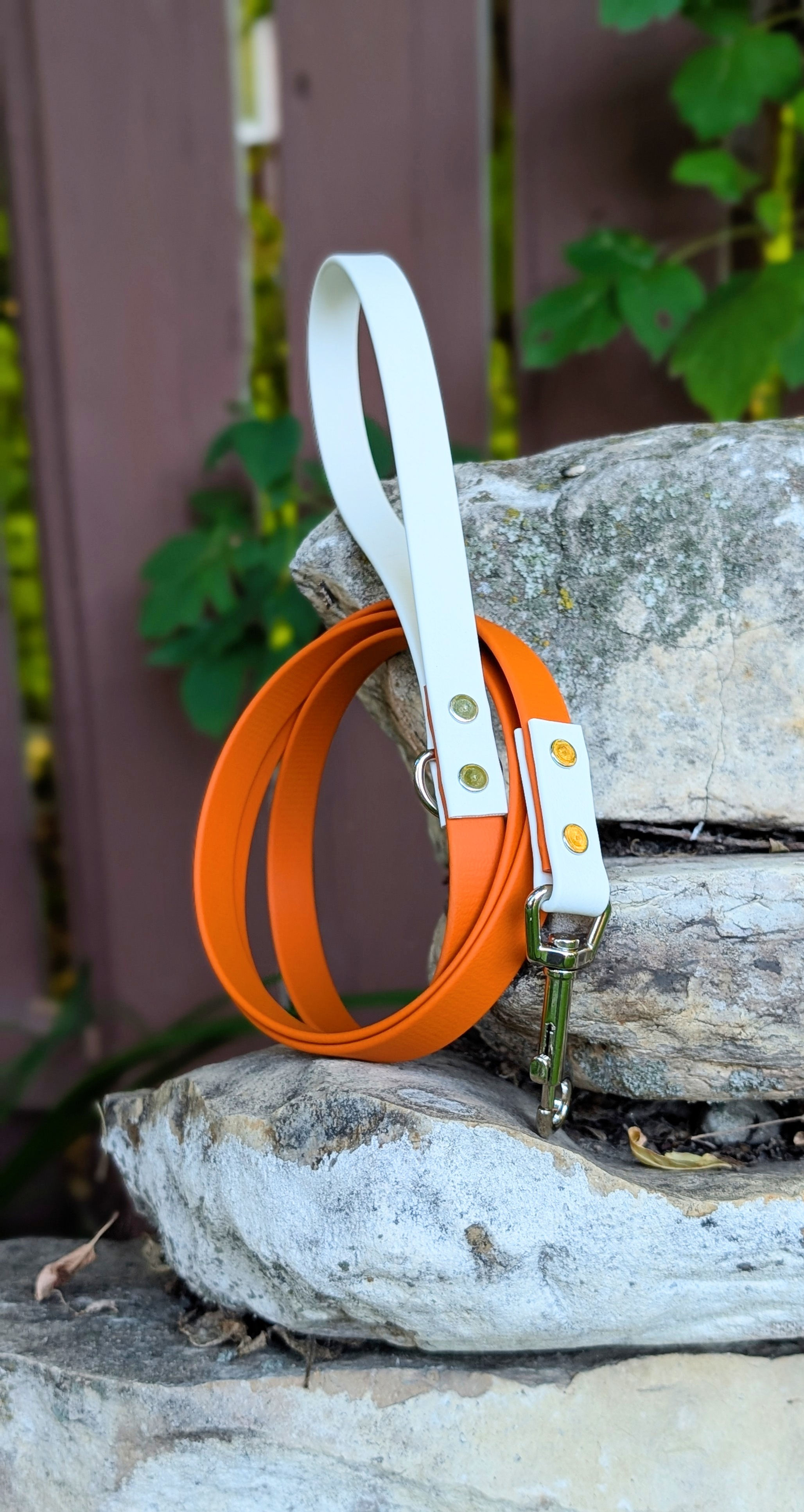 5/8" Two-Tone Standard Leash