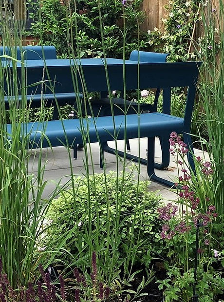 birchington summer 2020 plant crop.jpeg