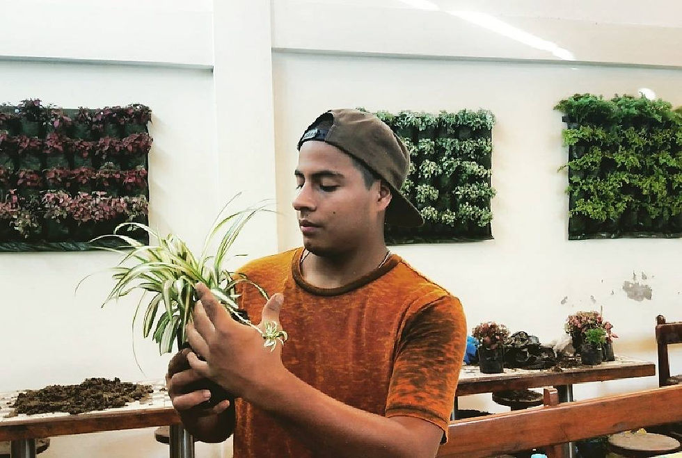 PROYECTOS VEGETALES