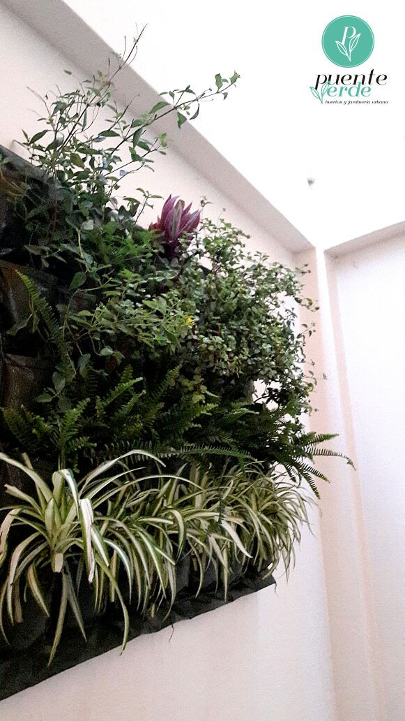 INTERIOR DE PATIO DE COMIDAS