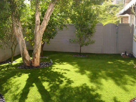 Plant Growth Threatens Home's Plumbing Systems