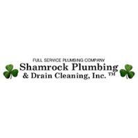 Which Way Does Your Toilet Bowl Swirl?