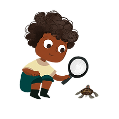 boton - Ana Paula la tortuga .png