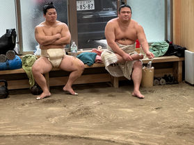 Tradition & Discipline: My Morning in a Sumo Stable