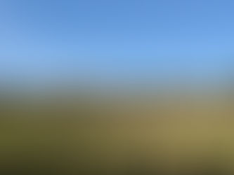 Spending the night in a wine barrel: a unique and luxurious experience in Portugal’s Douro Valley