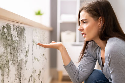 Begutachtung eines Feuchtigkeitsschadens an der Wand vor der professionellen Kellersanierung