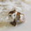 Thumbnail: Barn Owl