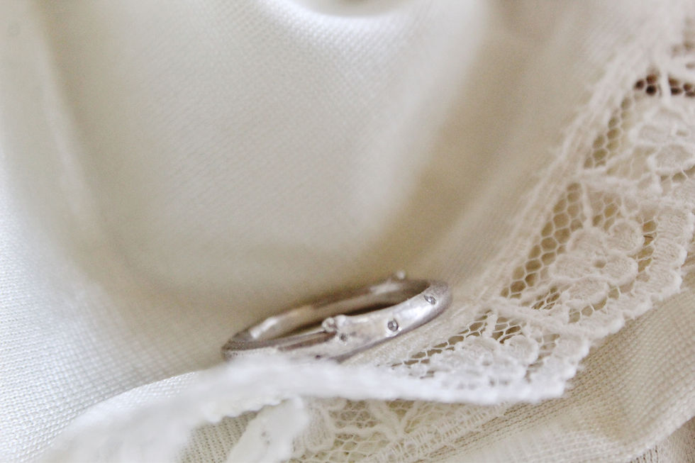 Thumbnail: The Silver Rose
