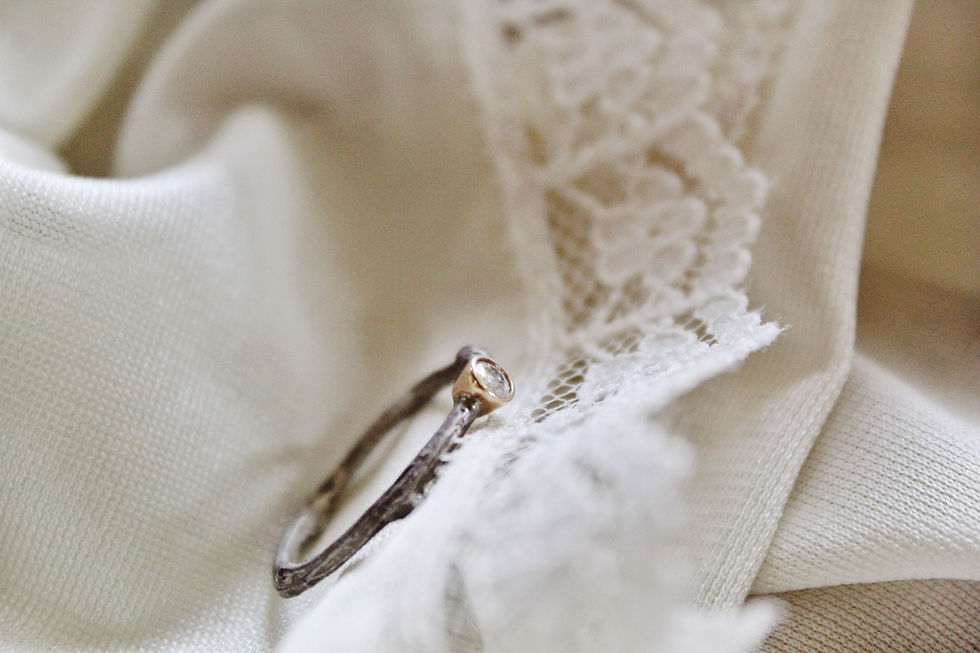 Thumbnail: The Silver Rose