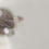 Thumbnail: Seeing Glass