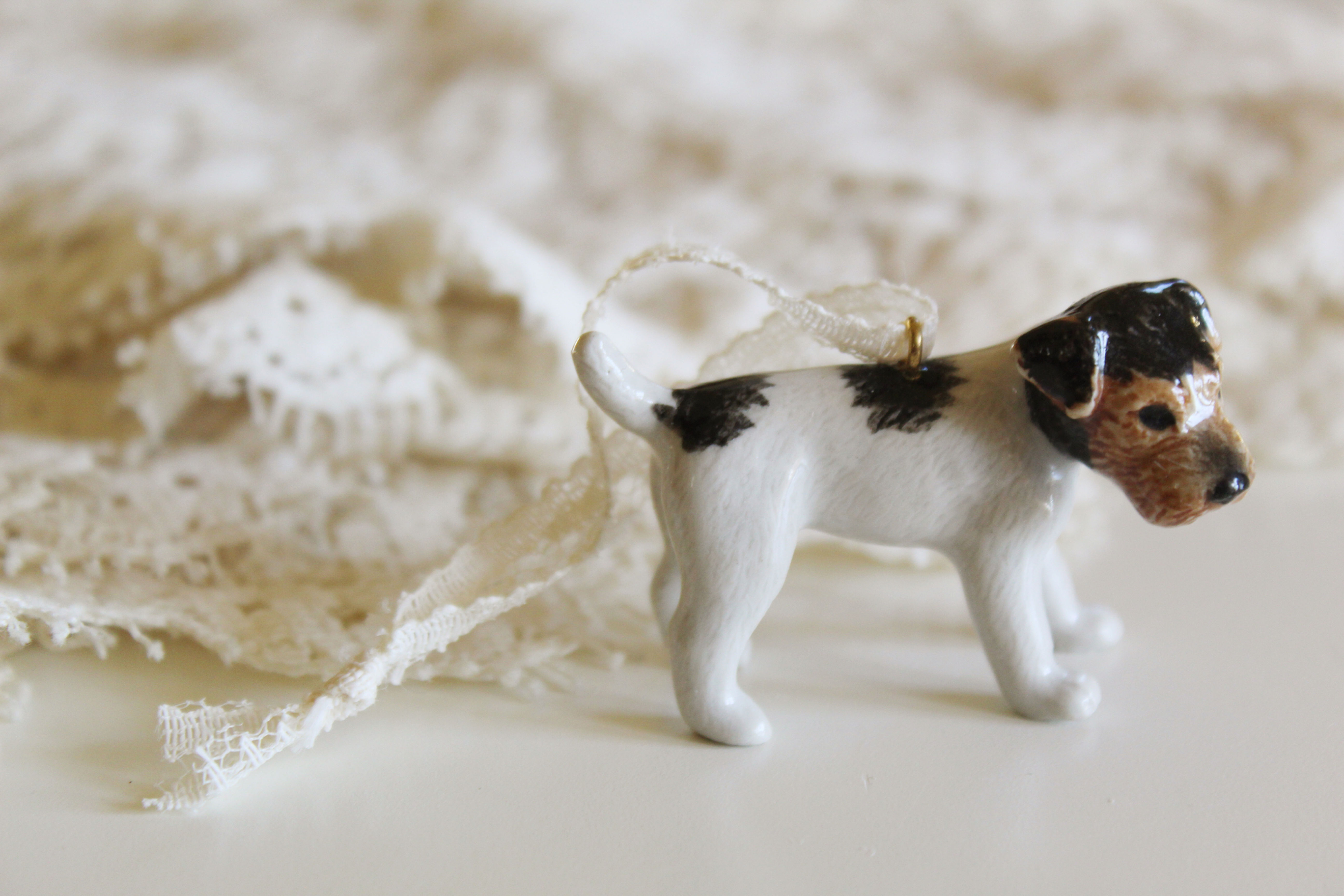 Jack Russell Terrier