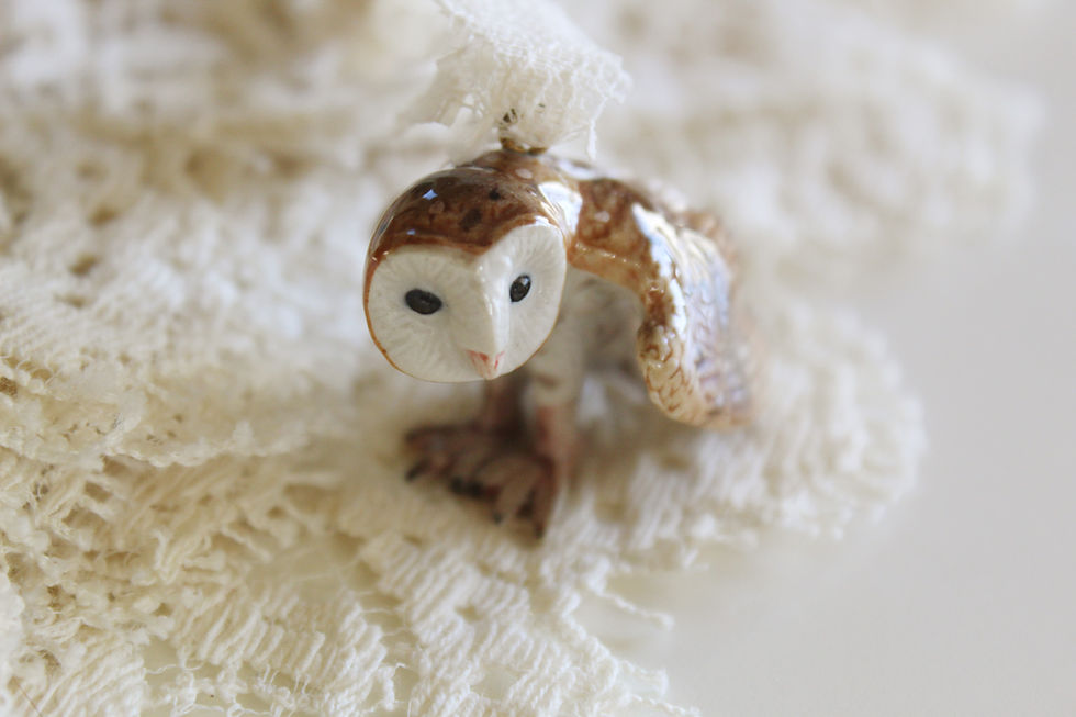 Thumbnail: Barn Owl