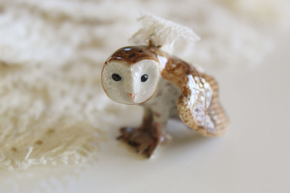 Thumbnail: Barn Owl
