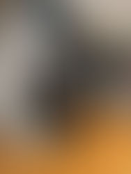 Opening the doors to Motherville.