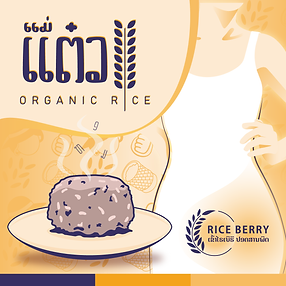 mae_teow_rice-01.png