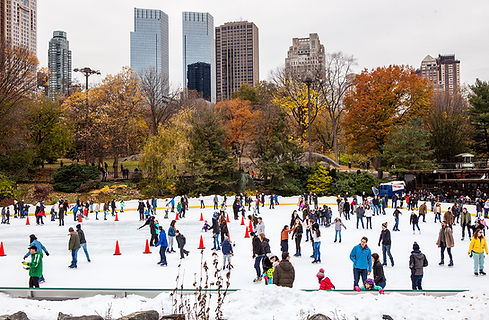 Central Park | Manhattan | New York