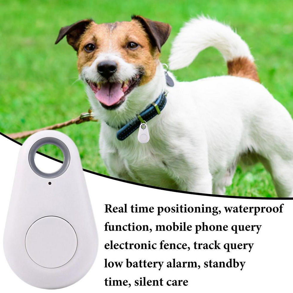 Thumbnail: GPS Tracker Portable GPSBluetooth 5.0 Mobile Key Fashion Smart Pets Anti Lost Al