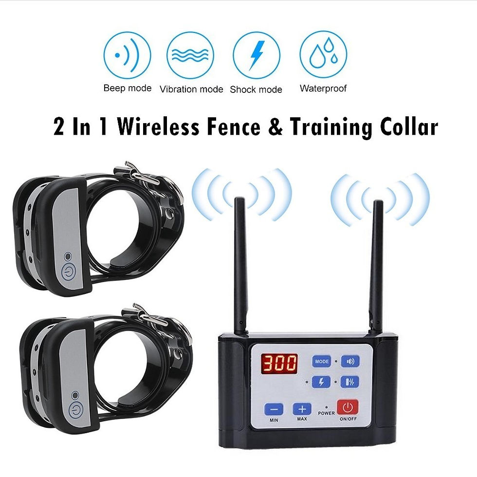 300M 2 In 1 Pet Dog Wireless Fence Remote Training Collar Electric Anti Runaway