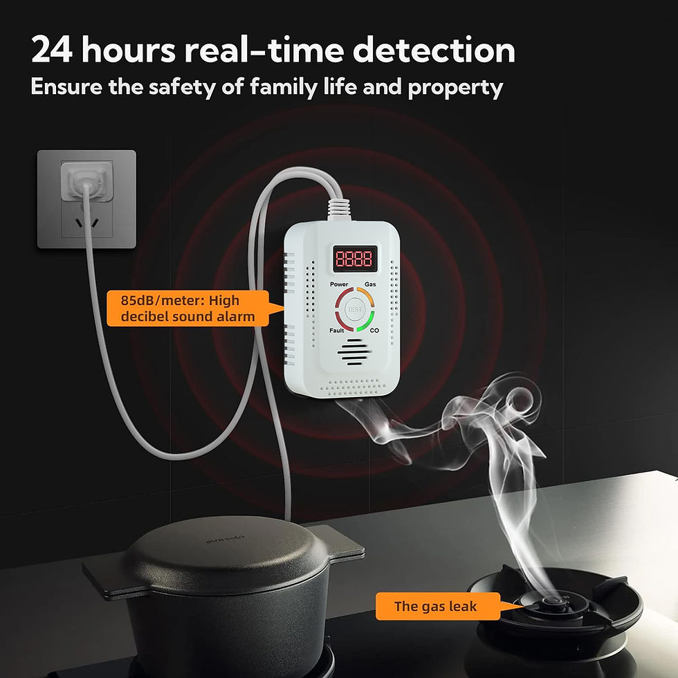 Thumbnail: Natural Gas Detector And Carbon Monoxide CO Detector, Combustible Gas Leak Detec