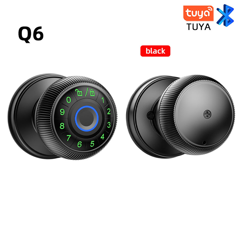Thumbnail: RAYKUBE Q6 US Free Delivery Tuya BLE Smart Fingerprint Door Lock Round Knob Elec