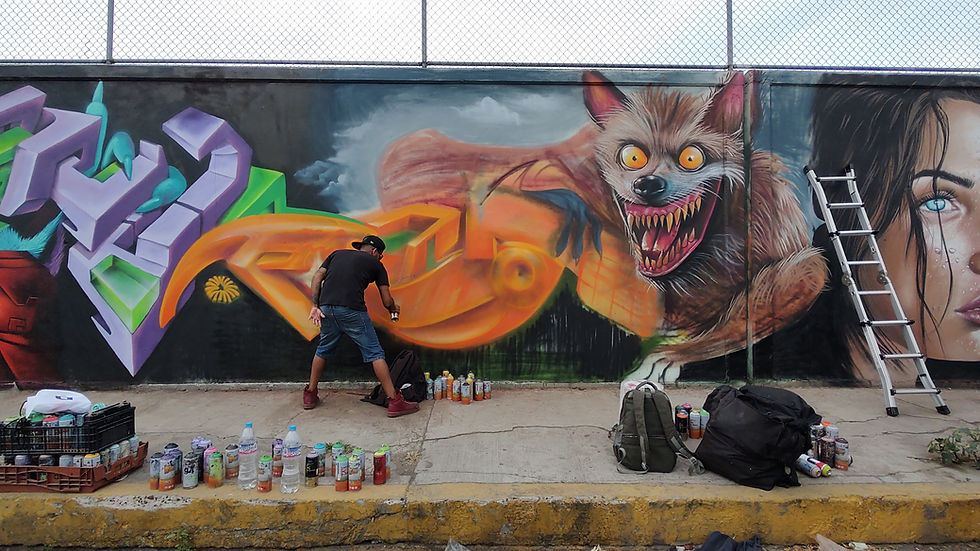 Panik, Kakorros cru, MR, graffiti, graffiti legal