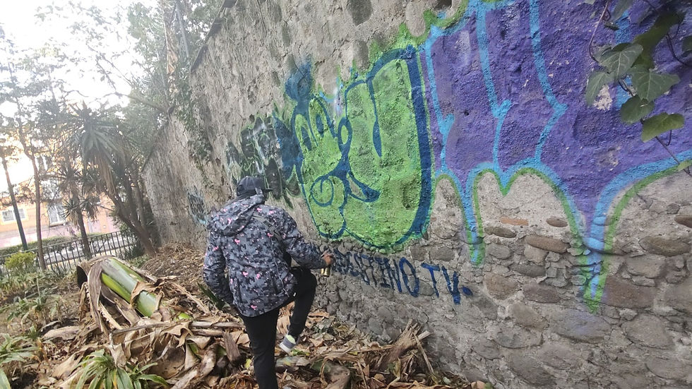 Fysek, TDR, Graffiti, Graffiti Ilegal, CDMX, Graffiti Mexicano