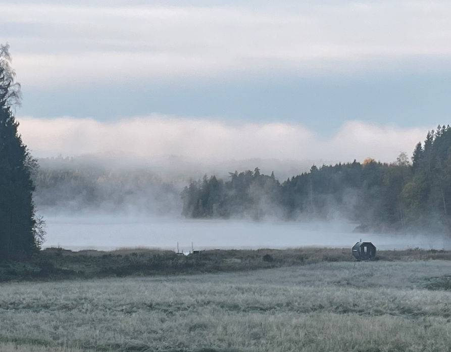 Sauna Nebel.jpg