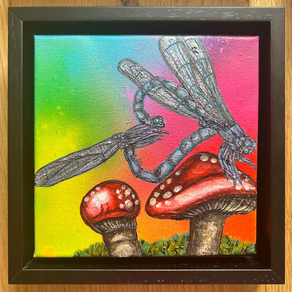 Thumbnail: Celestial Dance: Embracing the 5D Rainbow