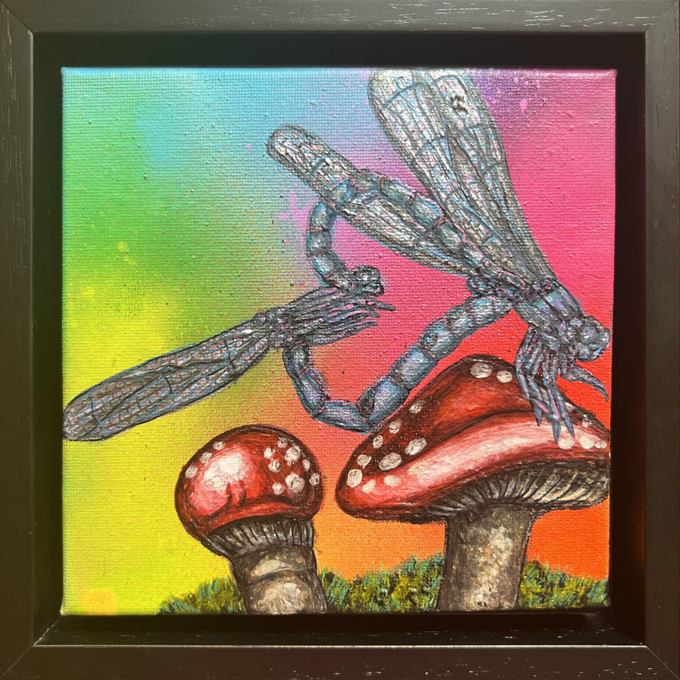 Celestial Dance -  Embracing the 5D Rainbow framed crop.jpg