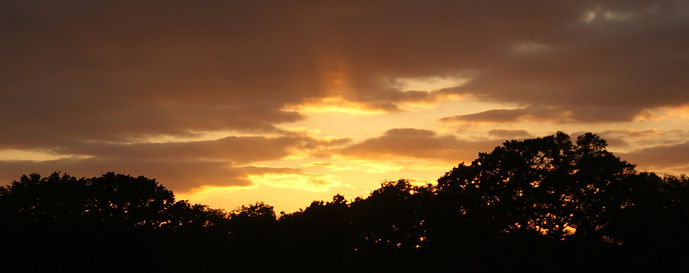 DSC06183.JPG