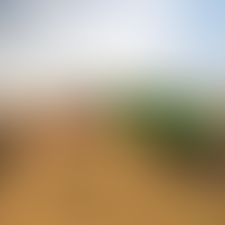 Mato Grosso na vanguarda do crescimento industrial em 2025 