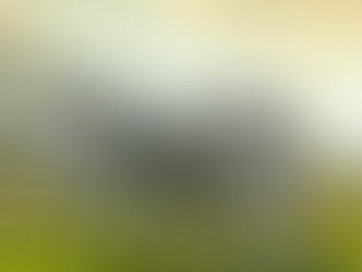 Recuperação Judicial no Agronegócio: entre a litigância e a negociação empresarial