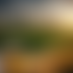 Demanda do etanol é o que está sustentando os preços do milho no Brasil