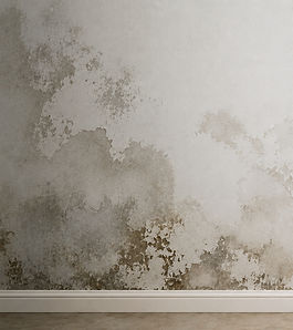 damp wall comparison_edited.jpg