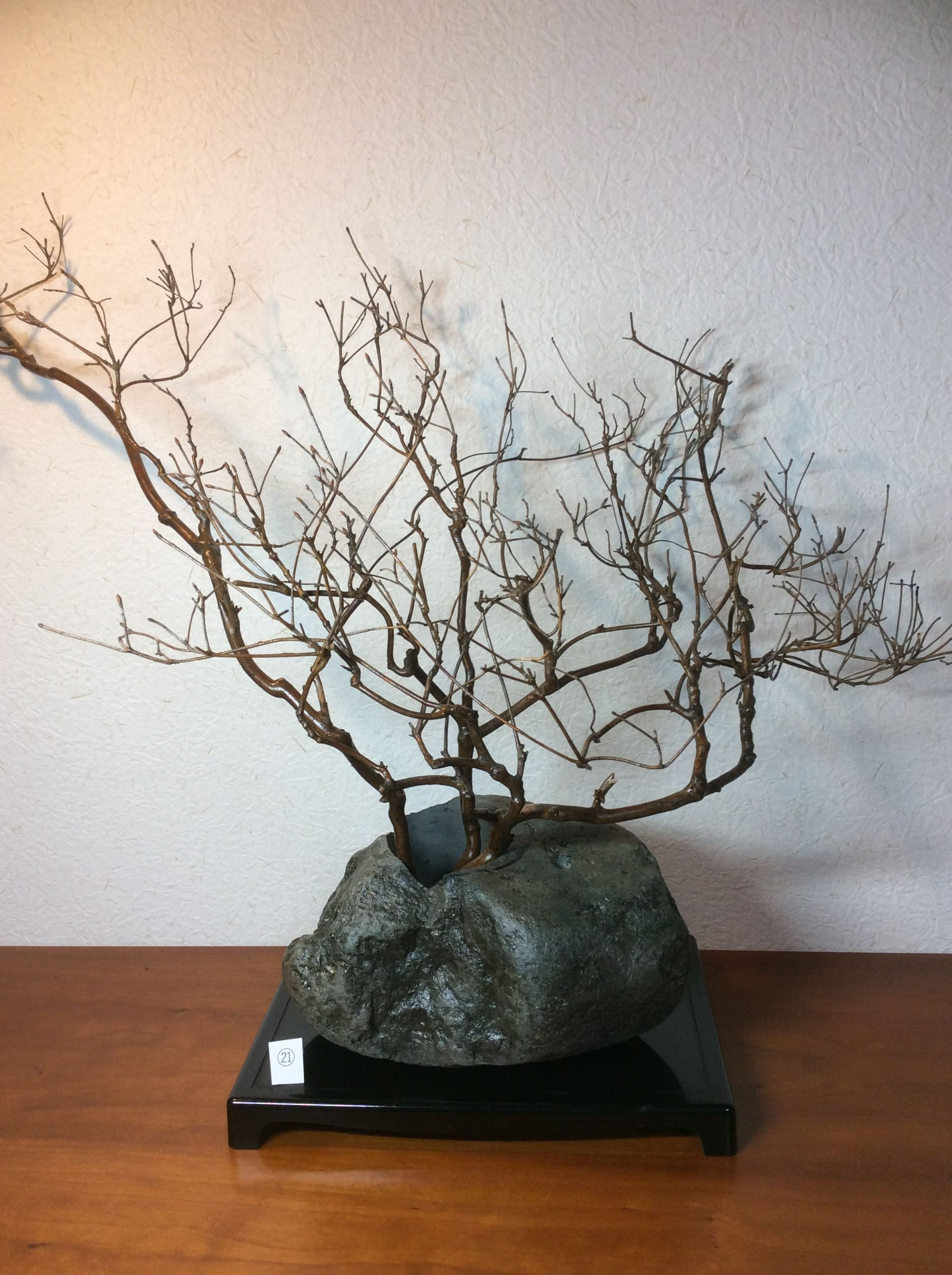 No,21-LLサイズ 金箔散らしの枯枝（Lサイズ）