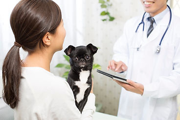 インフォームドコンセントを大切にしています