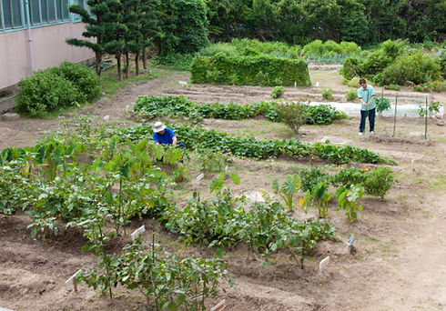 作業療法の様子