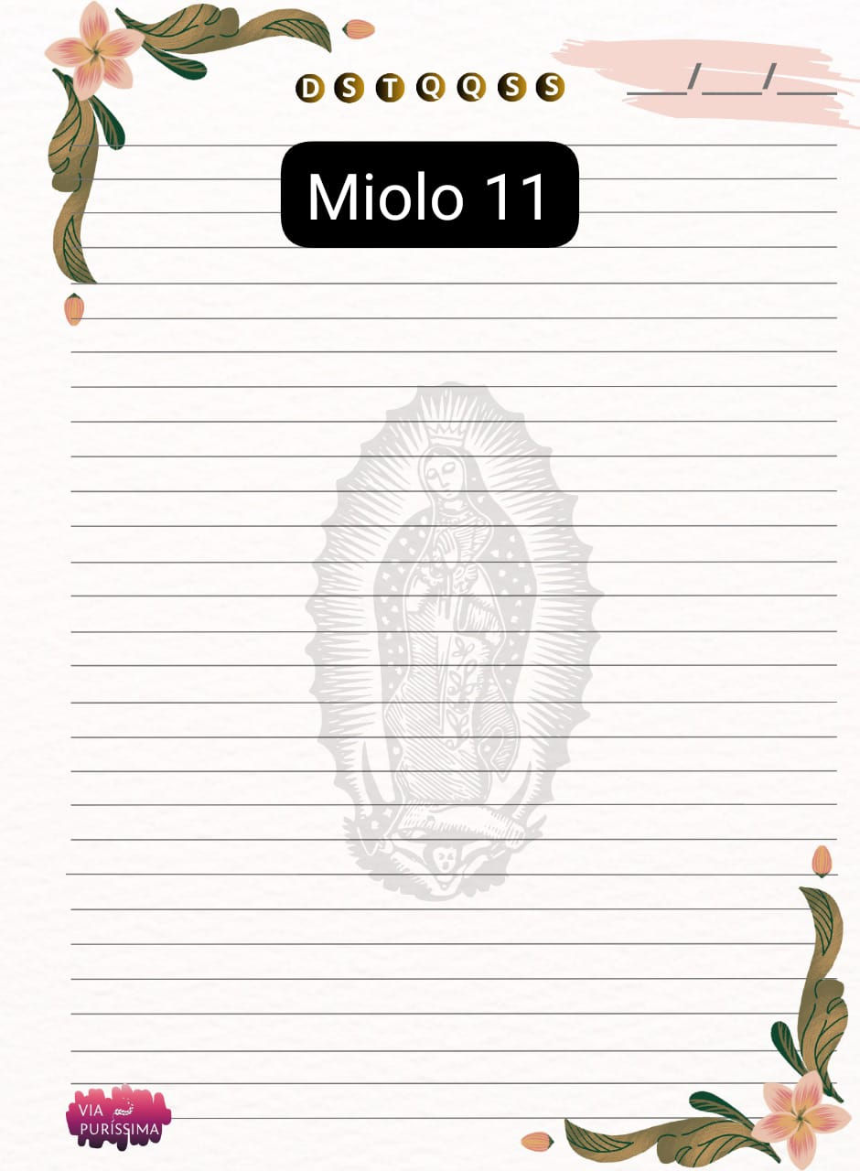 Miniatura: Caderno Colegial - Nossa Senhora de Guadalupe_4 - Capa Dura - 1 Matéria