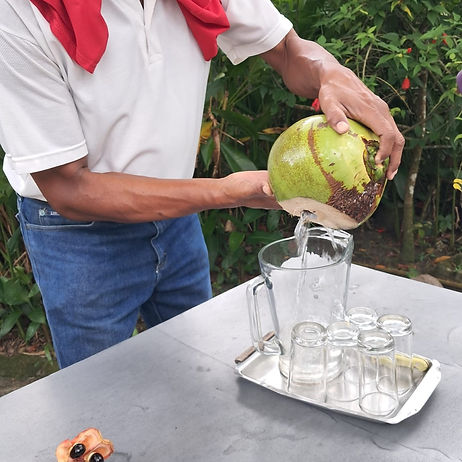 sun-valley-coconut.jpg