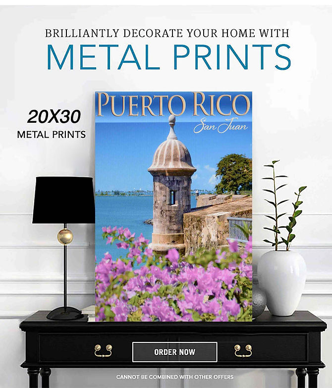 Metal Print Sale PR 2.jpg