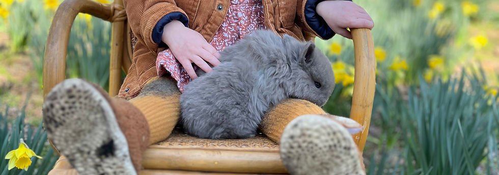 Thumbnail: Small Animal Photography Companion