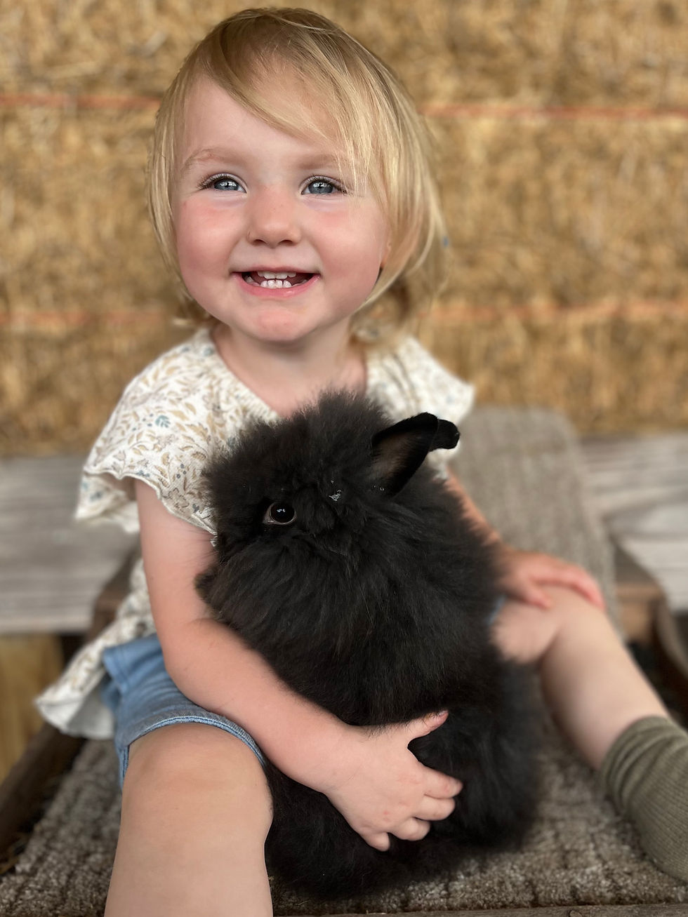 Thumbnail: Small Animal Photography Companion
